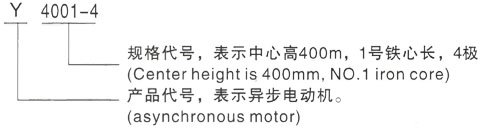 西安泰富西玛Y系列(H355-1000)高压YRKK5002-8/400KW三相异步电机型号说明